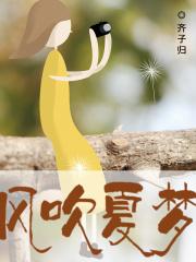 果宝特工第3季第17集